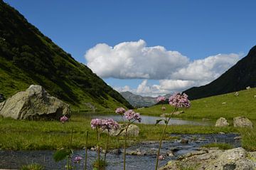 Paysage de montagne sur A Vervoorn