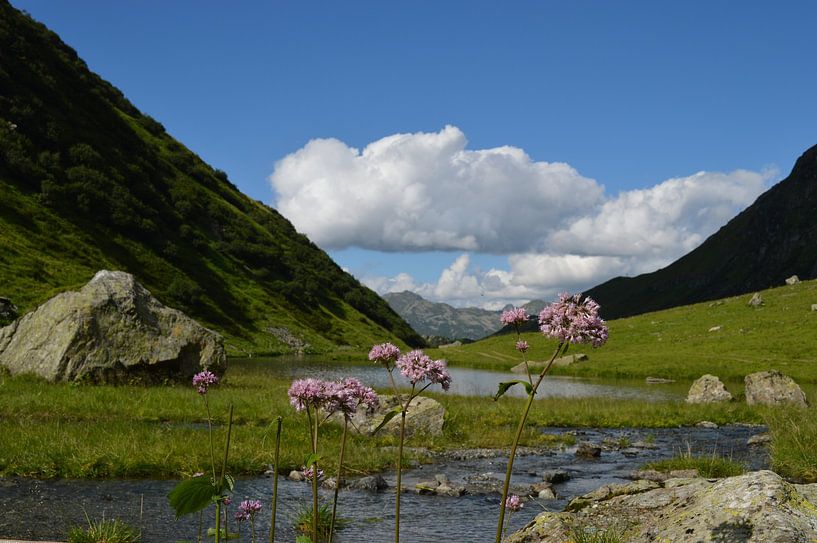 Mountain Landscape by A Vervoorn