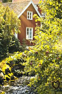Obstbäume an einem Bach mit einer kleinen Brücke vor einem roten Holzhaus in Schweden.