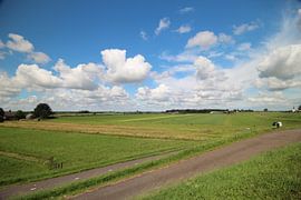 Breed uitzicht over de zuidplaspolder in Moordrecht
