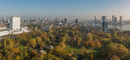 Herfst in het Park in Rotterdam