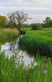Oudemolen - Drenthe (Niederlande) von Marcel Kerdijk