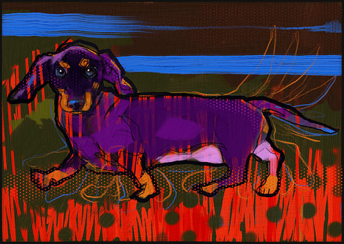 Teckel coloré dans le style pop art – Portrait de chien abstrait et moderne sur ATELIER KAMILA M