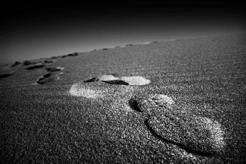 Footprints in the sand by Frank Herrmann