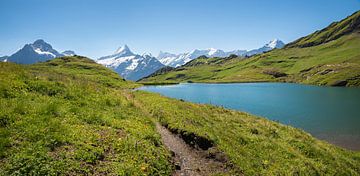 Bachalpsee bij Grindelwald Eerste, Berner Alpen van SusaZoom