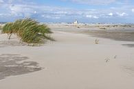 Strand Terschelling van Sander Groenendijk thumbnail