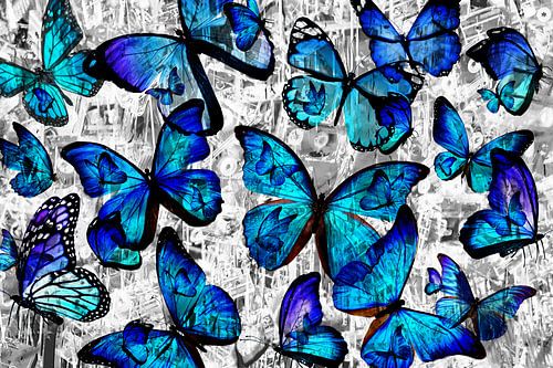 Schmetterlingseffekt