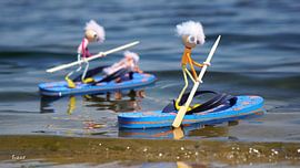 Fubby ist auf einem Paddelbrett, das ein Flip-Flop ist.