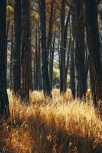 Spaziergang im Wald