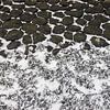 Blasentang auf den Basaltblöcken an der friesischen Wattenküste. von Meindert van Dijk