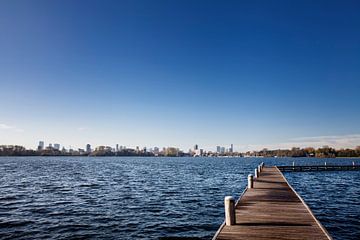 Uitzicht op de skyline van Rotterdam gezien vanaf het Kralingse Bos