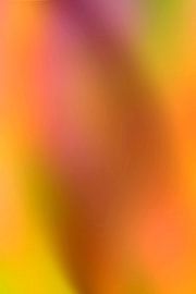 Die richtige Atmosphäre.