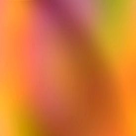 The right atmosphere. van Alie Ekkelenkamp