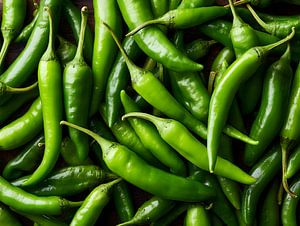 Frische grüne Chilischoten in lebendiger Nahaufnahme