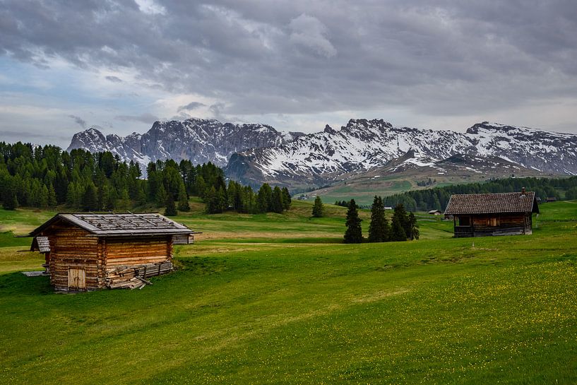 Alpe di Siusi par Michael Blankennagel
