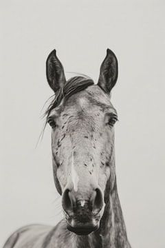 Paardenportret van Poster Art Shop