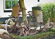 fiets van Heidi de Vries thumbnail