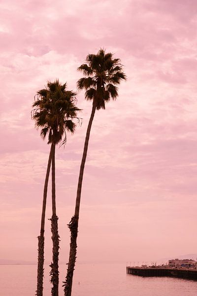 Palmen bei Sonnenuntergang Santa Cruz Pier, Kalifornien, USA,  von Ronald Tilleman