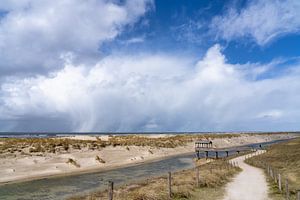 Le froid d'avril sur la côte près de Petten.