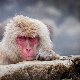 Versunkene Gedanken von Hilda Weges