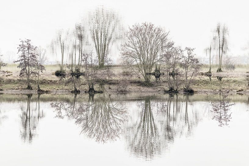 Koningssteen Thorn van Helma Tielemans