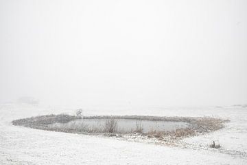 Winterlandschap tijdens een vroege mistige ochtend met bevroren riet van Sjoerd van der Wal