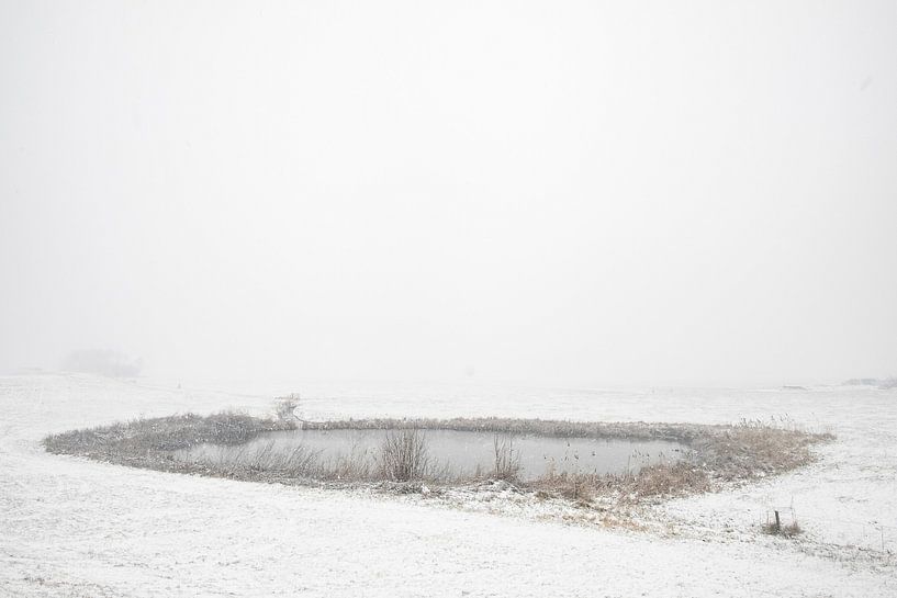 Winterlandschap tijdens een vroege mistige ochtend met bevroren riet van Sjoerd van der Wal Fotografie
