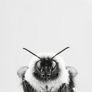 Makroaufnahme einer Hummel in Schwarz-Weiß