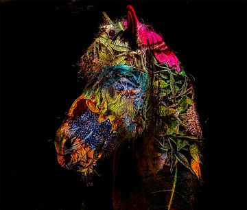 The Soul of my Horse