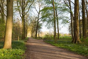 Lenteochten op landgoed Amelisweerd