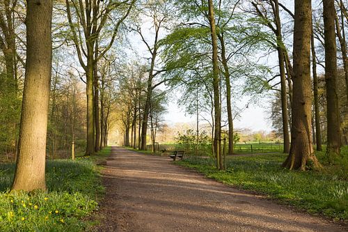 Lenteochten op landgoed Amelisweerd