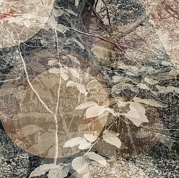 Illustration, nature