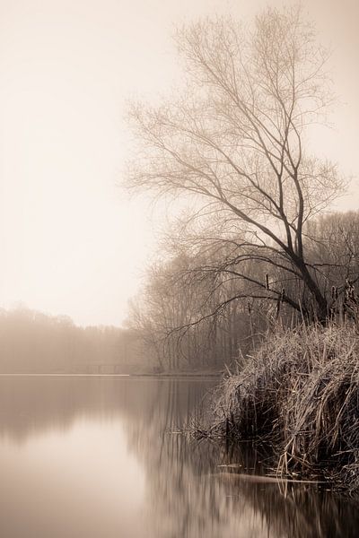 Cranenweyer by Maurice Cobben