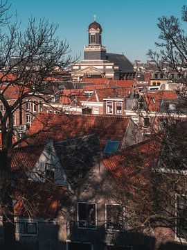 Beautiful orange roofs of leiden with the Roman Catholic Church the Hartebrug Church in the backgrou