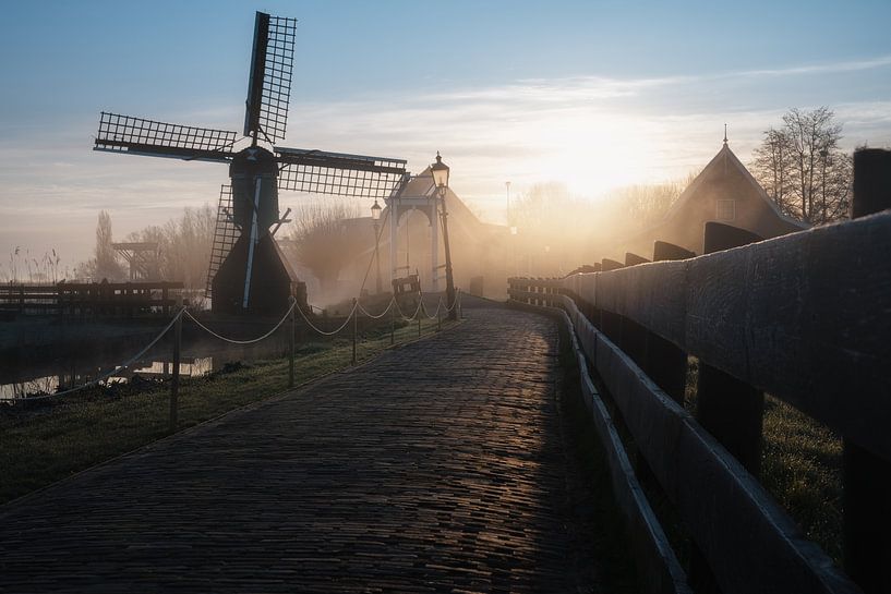 Zaans van Patrick Noack