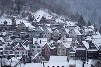 Winter in het Zwarte Woud