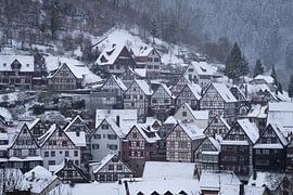Winter in het Zwarte Woud van Vincent Croce