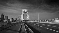 Willemsbrug, Rotterdam