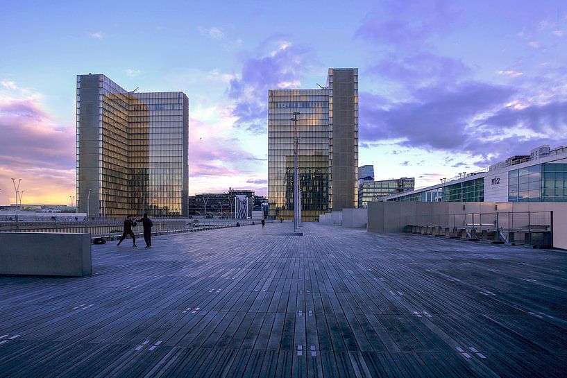 Bibliothèque nationale de France Paris by Patrick Lohmüller