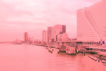 Rotterdam - Erasmusbrug en omgeving - in zalm tinten