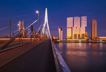 The Rotterdam and the Erasmus Bridge by Ronne Vinkx