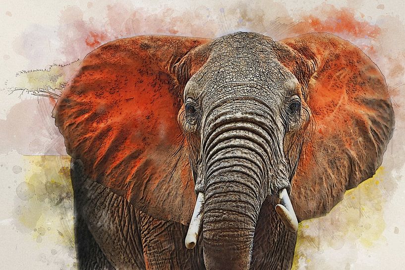 Elefant von Bert Quaedvlieg