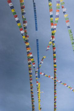 Drapeaux de prière népalais sur Maarten Borsje