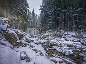 Waterval in de Sneeuw, Tsjechië van Dennis Donders thumbnail