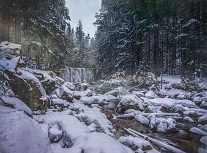 Chute d'eau dans la neige, République tchèque