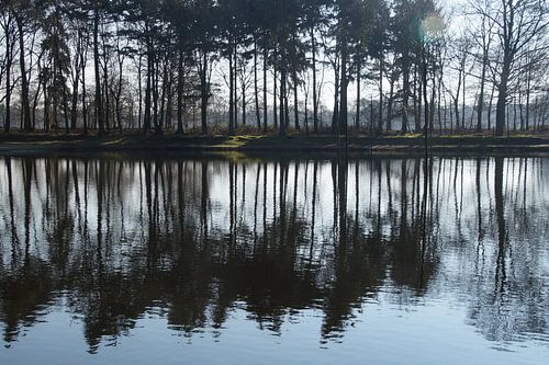 weerspiegelde bomenrij