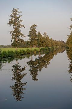 Bomen in de water van Richard Wareham