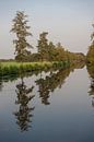 Bomen in de water van Richard Wareham thumbnail
