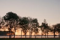 Morning Fog van Ruud van Ravenswaaij thumbnail