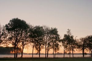 Morning Fog von Ruud van Ravenswaaij